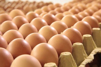 大理自治州鸡蛋检测价格,鸡蛋检测机构,鸡蛋检测项目,鸡蛋常规检测